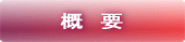 概　要